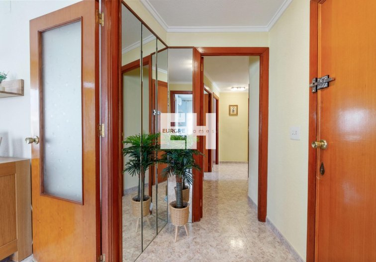 Segunda mano - Apartamento  - Torrevieja