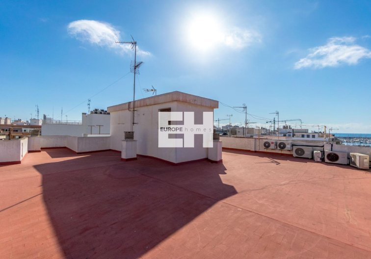 Segunda mano - Apartamento  - Torrevieja