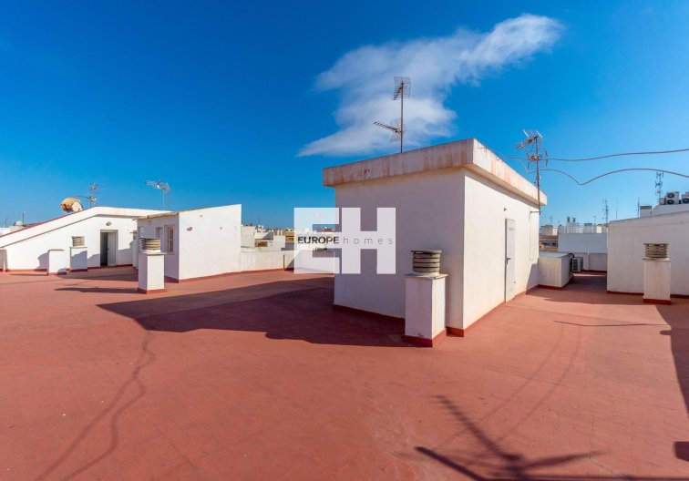 Segunda mano - Apartamento  - Torrevieja