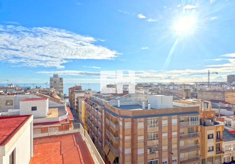 Segunda mano - Apartamento  - Torrevieja - Costa Blanca