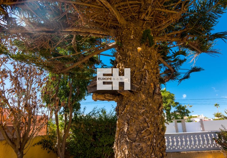 Segunda mano - villa - La Siesta - Costa Blanca