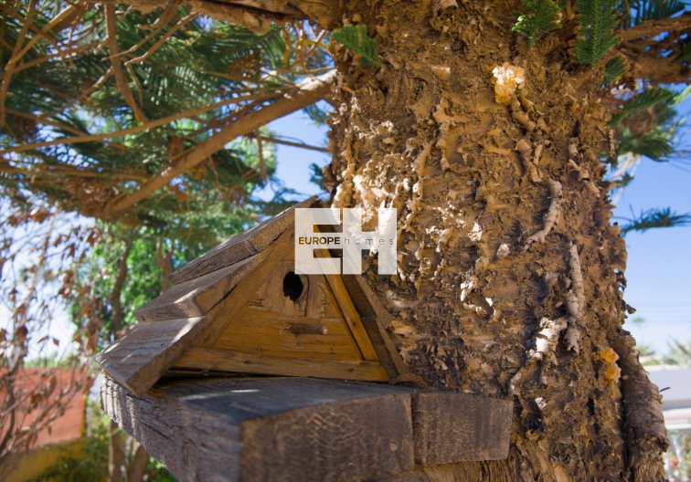 Segunda mano - villa - La Siesta - Costa Blanca