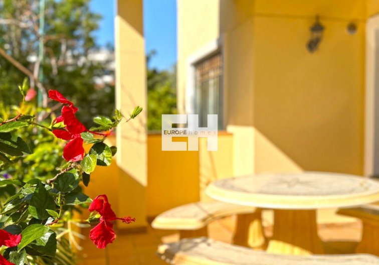 Segunda mano - Apartamento  - Orihuela Costa - Costa Blanca