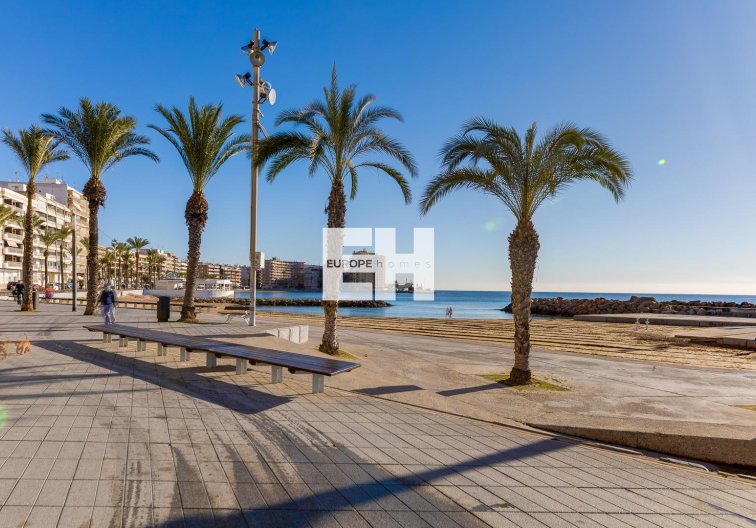 Segunda mano - Atico - Torrevieja - Paseo Maritimo