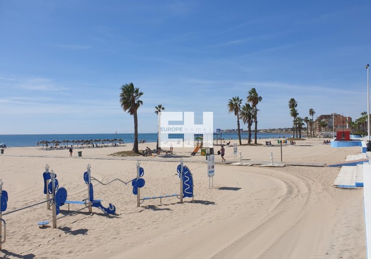 Segunda mano - Apartamento  - Torrevieja - Estacion De Autobuses