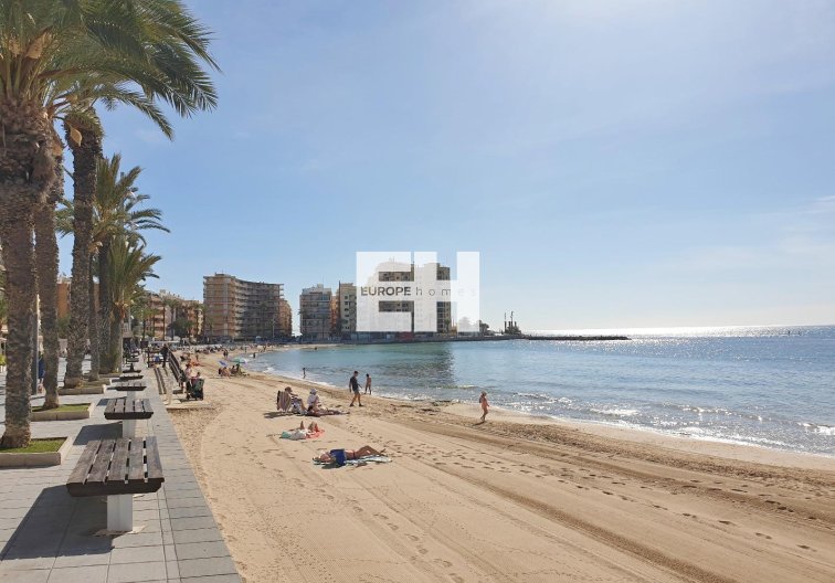 Segunda mano - Apartamento  - Torrevieja - Estacion De Autobuses