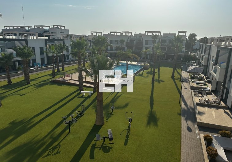 Wiederverkauf - Penthouse Penthouse - El Raso