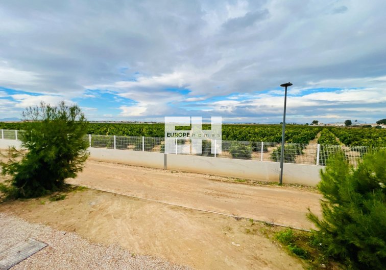 Segunda mano - Apartamento  - Los Alcázares - Santa Rosalía