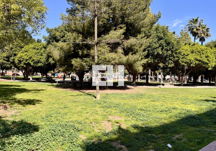 Segunda mano - Apartamento  - Torrevieja - Costa Blanca