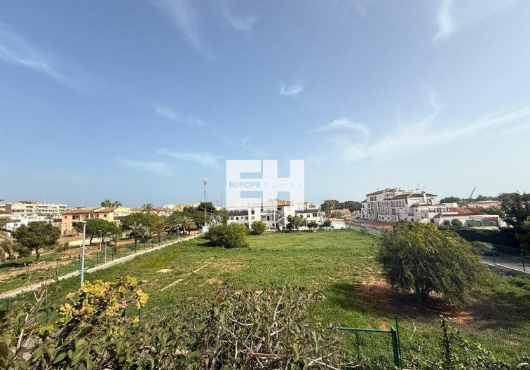 Segunda mano - Apartamento  - Orihuela Costa - Punta Prima