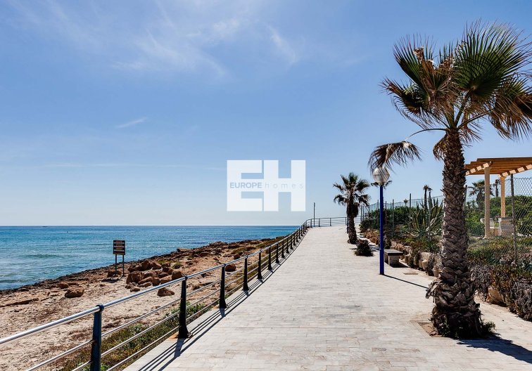 Obra Nueva - villa - Orihuela Costa - La Zenia