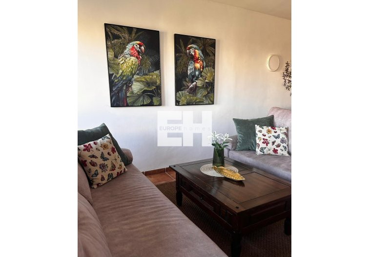 Segunda mano - Apartamento  - Torrevieja - Punta Prima