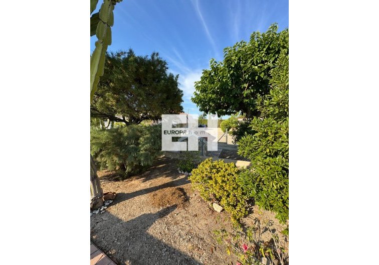 Segunda mano - villa - Albatera - Partida Lomas