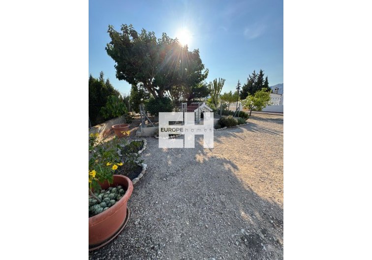 Segunda mano - villa - Albatera - Partida Lomas