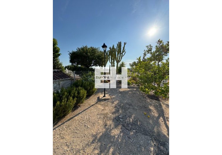 Segunda mano - villa - Albatera - Partida Lomas