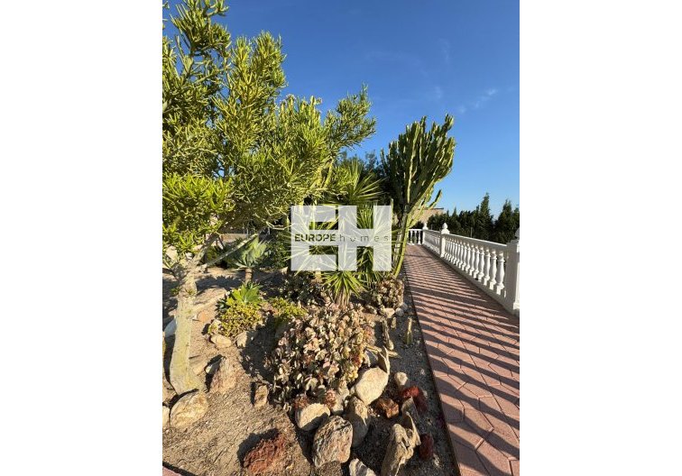 Segunda mano - villa - Albatera - Partida Lomas