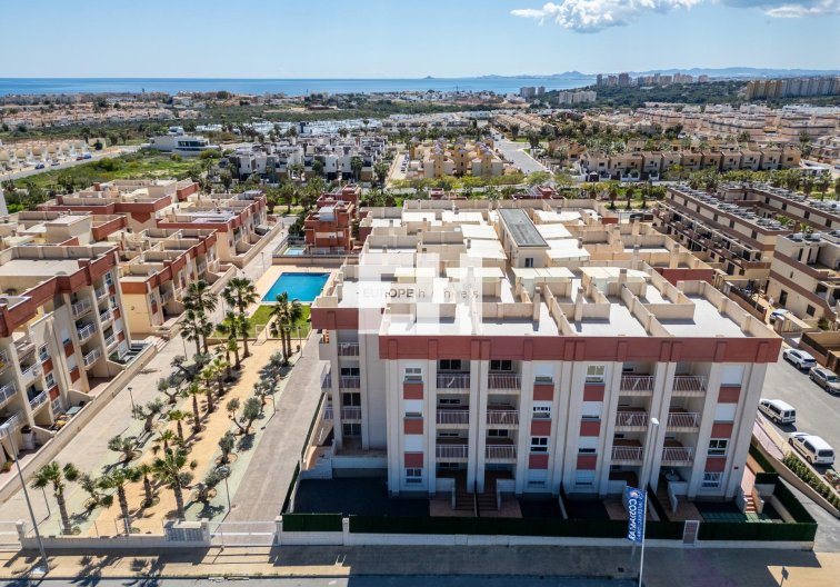 Obra Nueva - Ground floor apartment - Orihuela Costa - Lomas de Cabo Roig