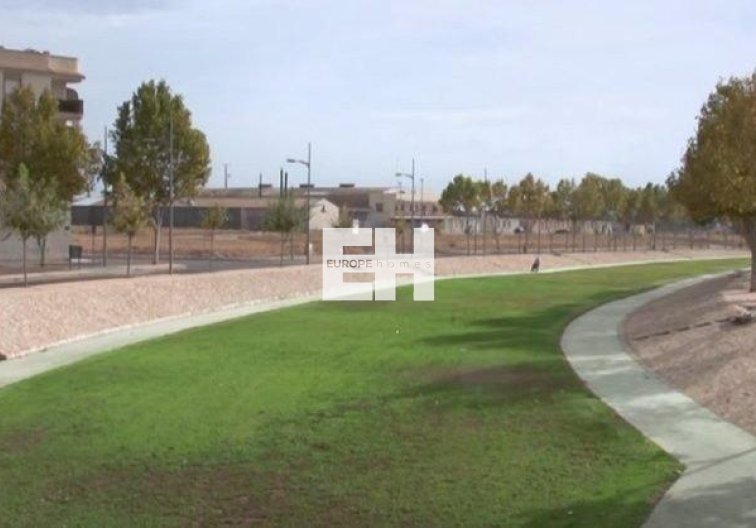 Obra Nueva - Semidetached - Pilar de la Horadada