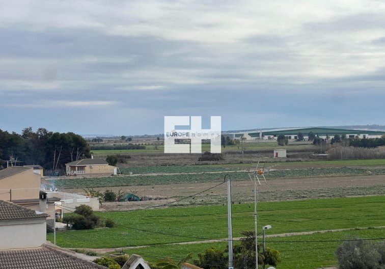 Segunda mano - Apartamento  - Dolores - Comunidad Valenciana