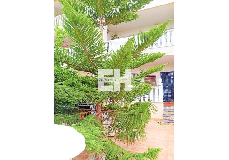 Segunda mano - Bungalow - Orihuela Costa - Lomas De Cabo Roig-los Dolses