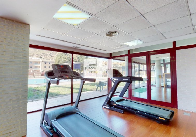 Obra Nueva - Apartamento  - Archena - Villanueva del Rio Segura