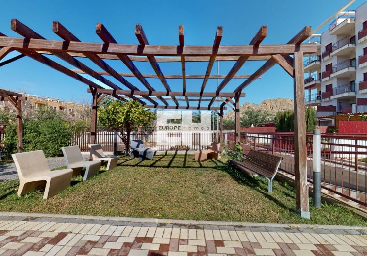 Obra Nueva - Apartamento  - Archena - Villanueva del Rio Segura