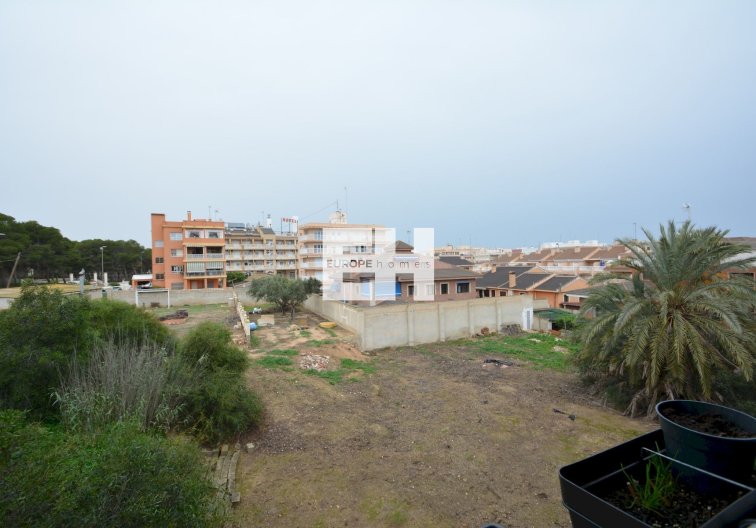 Segunda mano - Apartamento  - Guardamar del Segura - Costa Blanca