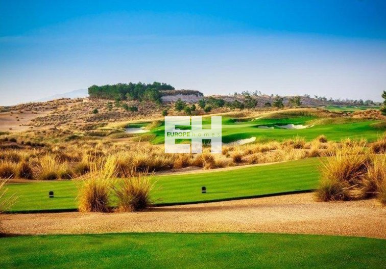 Obra Nueva - villa - Alhama de Murcia - Condado De Alhama