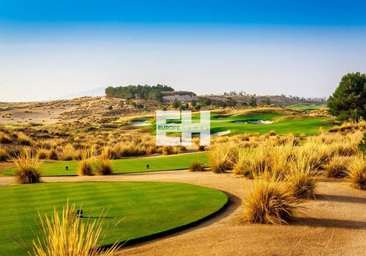 Obra Nueva - villa - Alhama de Murcia - Condado De Alhama