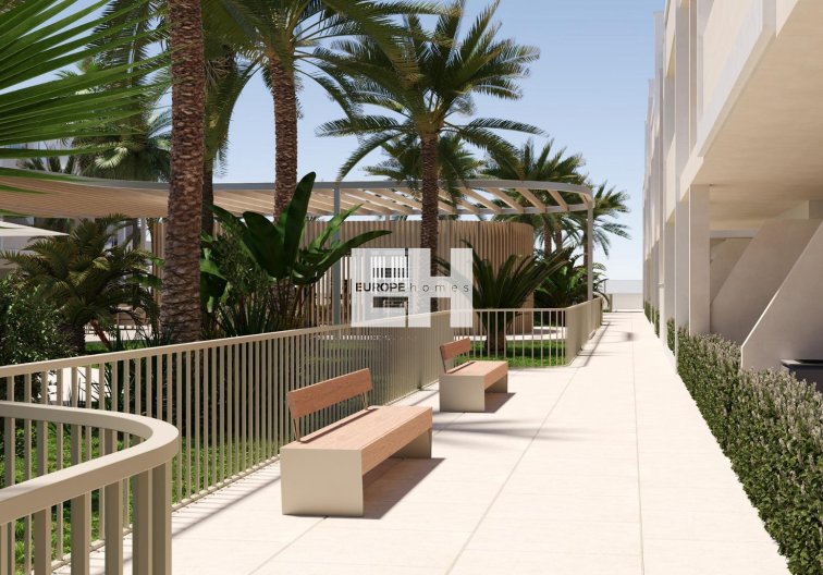 Neubau - Wohnung - Torre Pacheco - San Cayetano