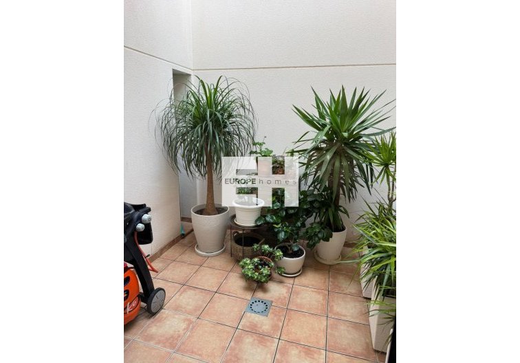 Segunda mano - town house - Torrevieja - Punta Prima