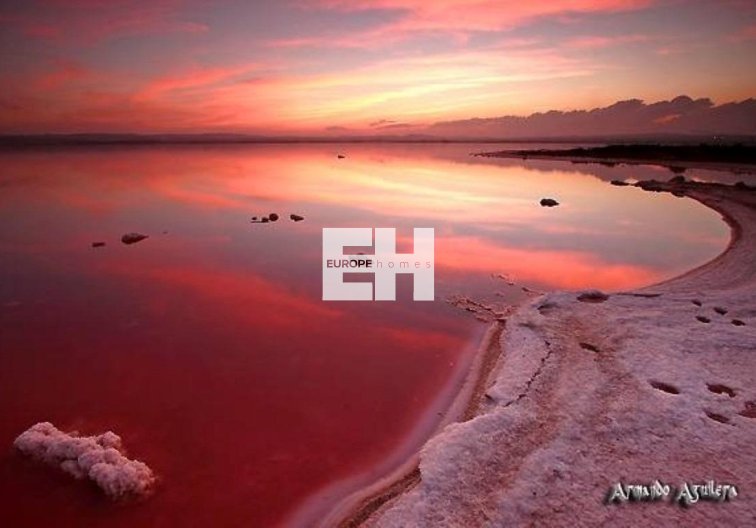 Revente - Duplex - Torrevieja - La Siesta