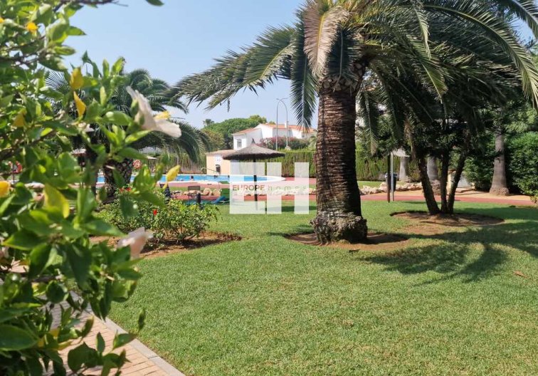 Segunda mano - Apartamento  - Denia - Costa Blanca