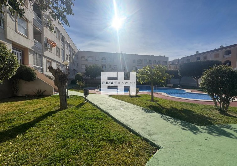 Segunda mano - Apartamento  - Torrevieja - Costa Blanca