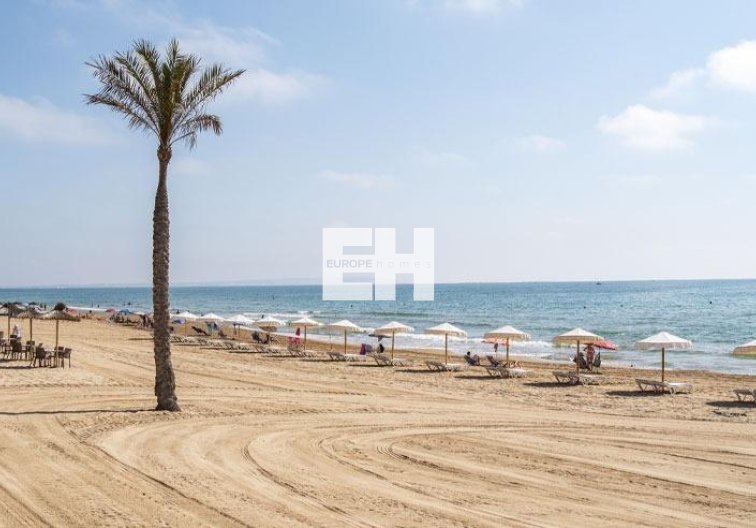 Construction Neuve - Appartement - Guardamar del Segura - Pueblo