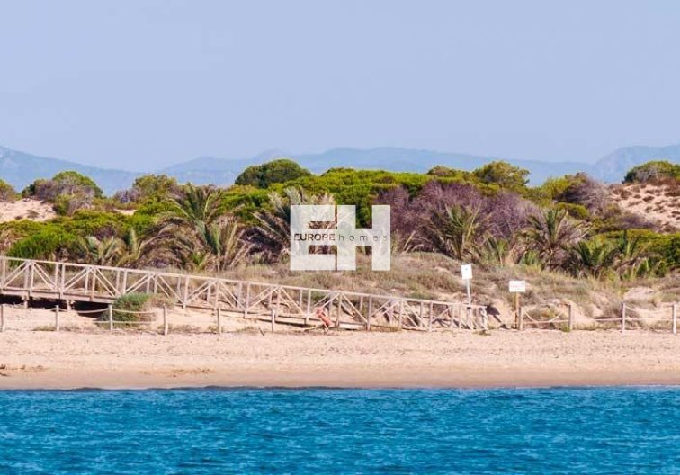 Construction Neuve - Appartement - Guardamar del Segura - Pueblo