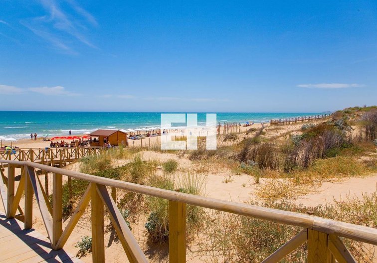 Obra Nueva - Apartamento  - Guardamar del Segura - Pueblo