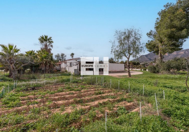 Segunda mano - villa - Hondón de las Nieves - Inland