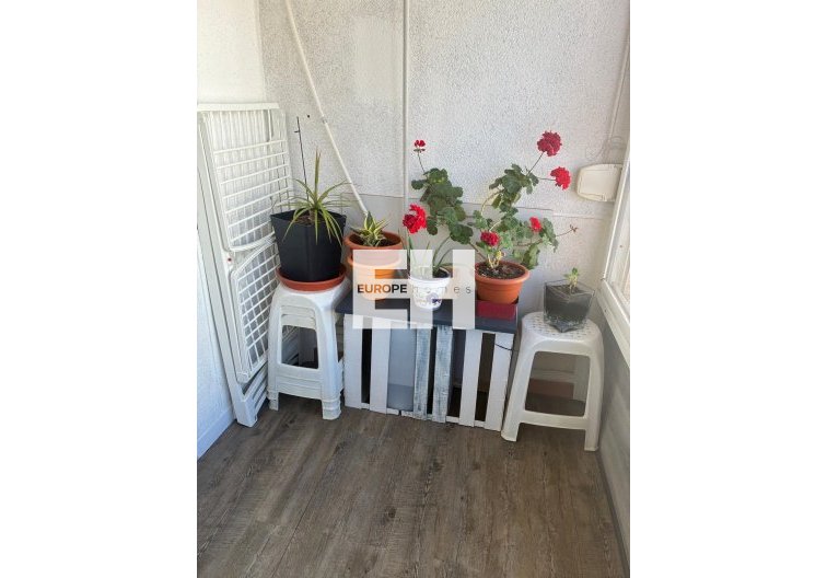 Segunda mano - Apartamento  - Torrevieja - Centro