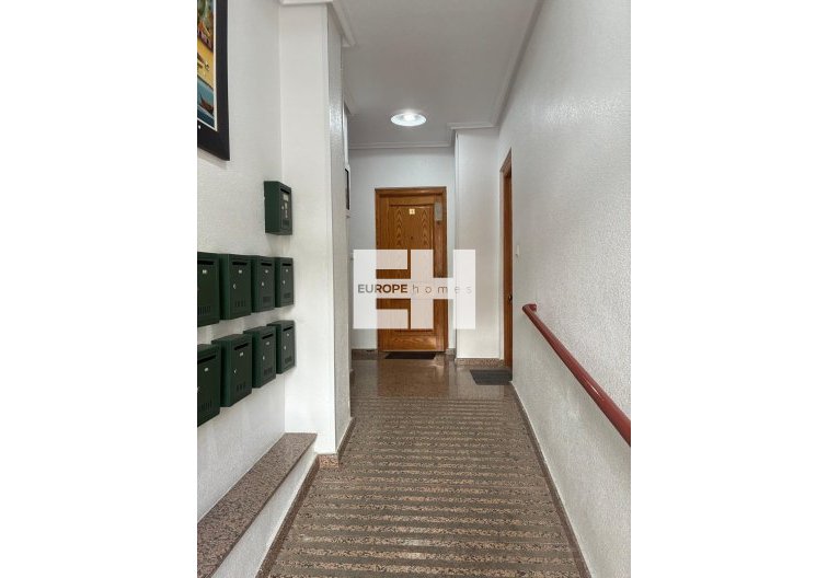 Segunda mano - Apartamento  - Torrevieja - Centro