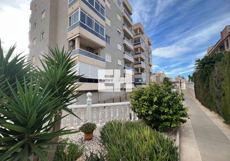 Segunda mano - Apartamento  - Torrevieja - Aguas Nuevas