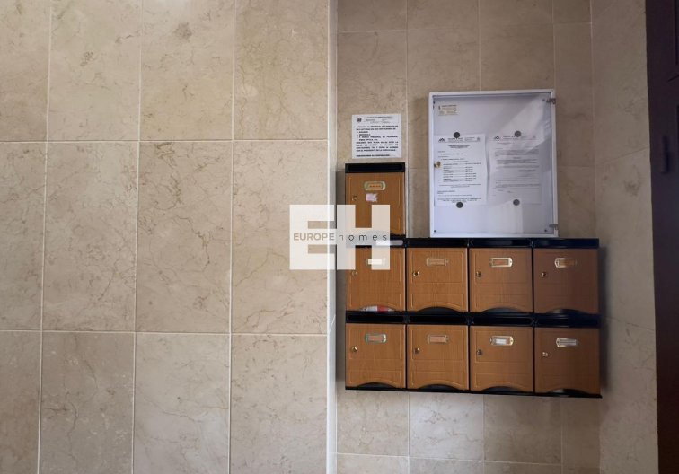 Segunda mano - Apartamento  - Torrevieja