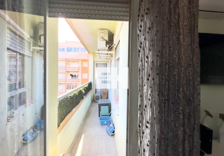 Segunda mano - Apartamento  - Torrevieja - Centro