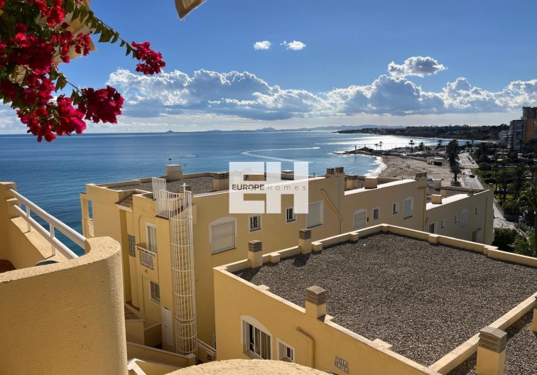 Segunda mano - Apartamento  - Orihuela Costa - Campoamor