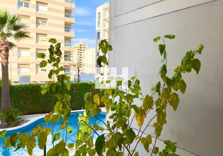 Herverkoop - Appartement - Torrevieja - Playa del Cura