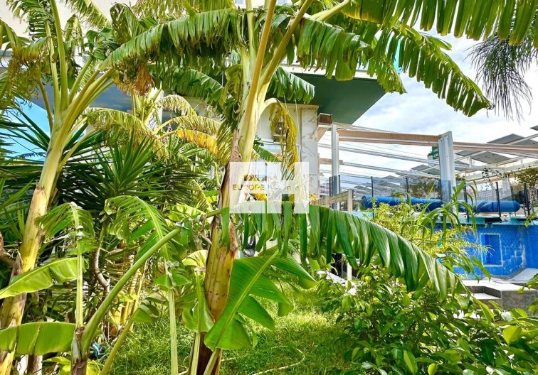 Herverkoop - Appartement - Finestrat