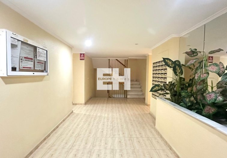 Segunda mano - Apartamento  - Torrevieja - Acequion