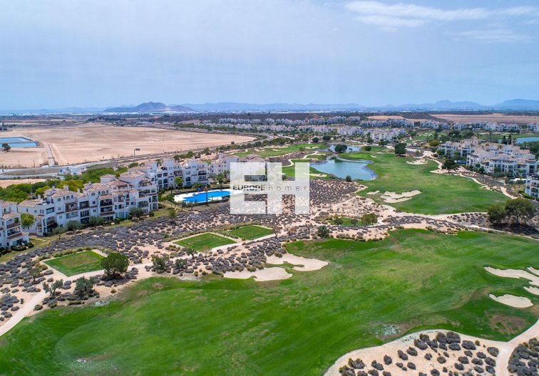 Construction Neuve - villa - Sucina