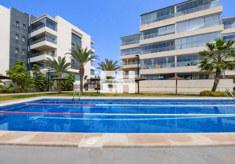 Segunda mano - Apartamento  - Orihuela Costa - Villamartín