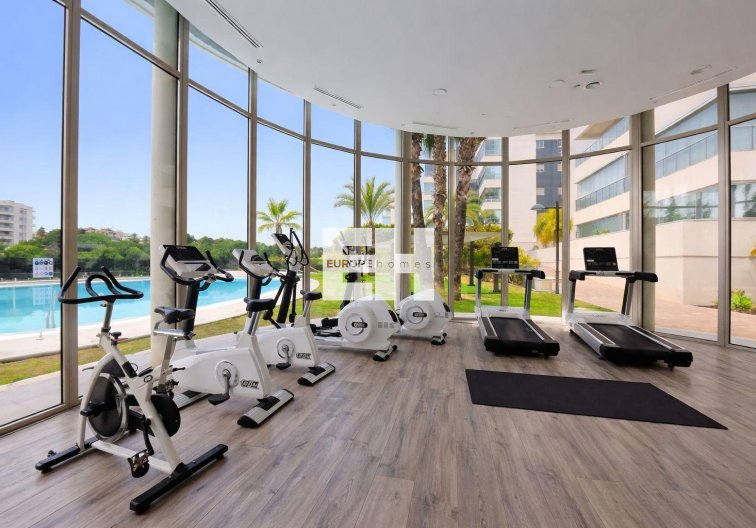 Segunda mano - Apartamento  - Orihuela Costa - Villamartín